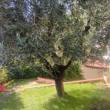 Casa Mario Casa D'ospite Daire Montemurlo
